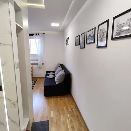 Pod Zamkiem Apartment